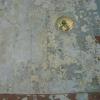 During - Removing flaking paint